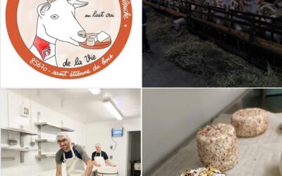 Maché, Fromage de Chevre, Le Bon Maché