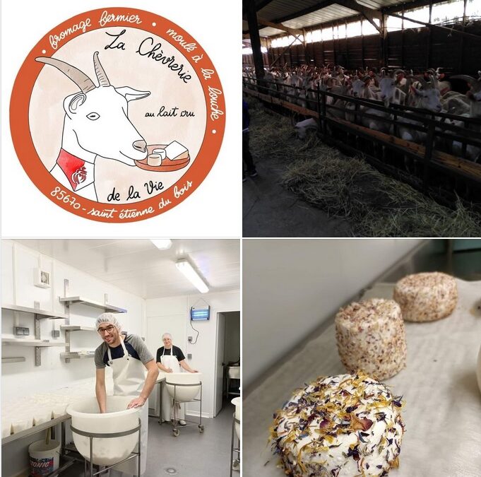 Maché, Fromage de Chevre, Le Bon Maché