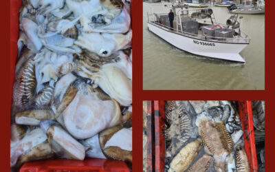 Saint-Gervais, Poisson, Pêcheur Port du bec, jeudi 2 Mai