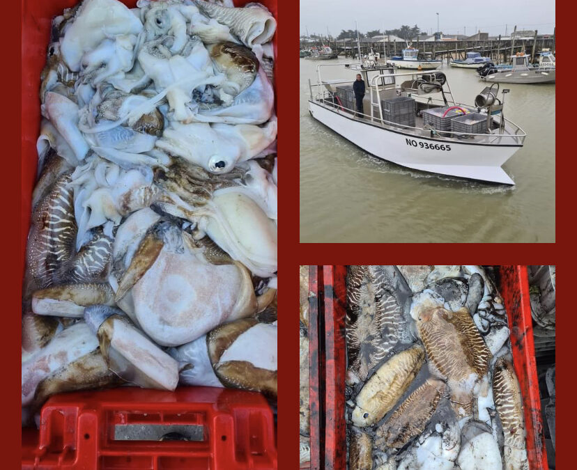 Saint-Gervais, Poisson, Pêcheur Port du bec, jeudi 2 Mai