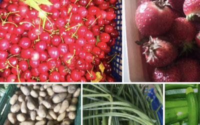 Les Herbiers, légumes et fruits, les jardins d’Herbauge