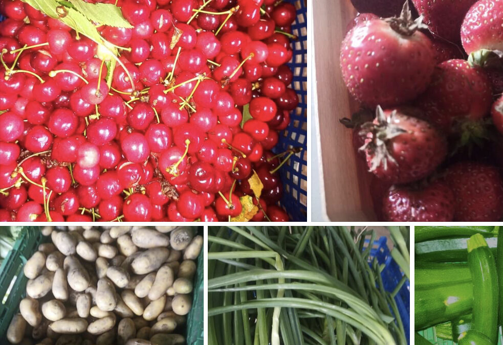 Les Herbiers, légumes et fruits, les jardins d’Herbauge
