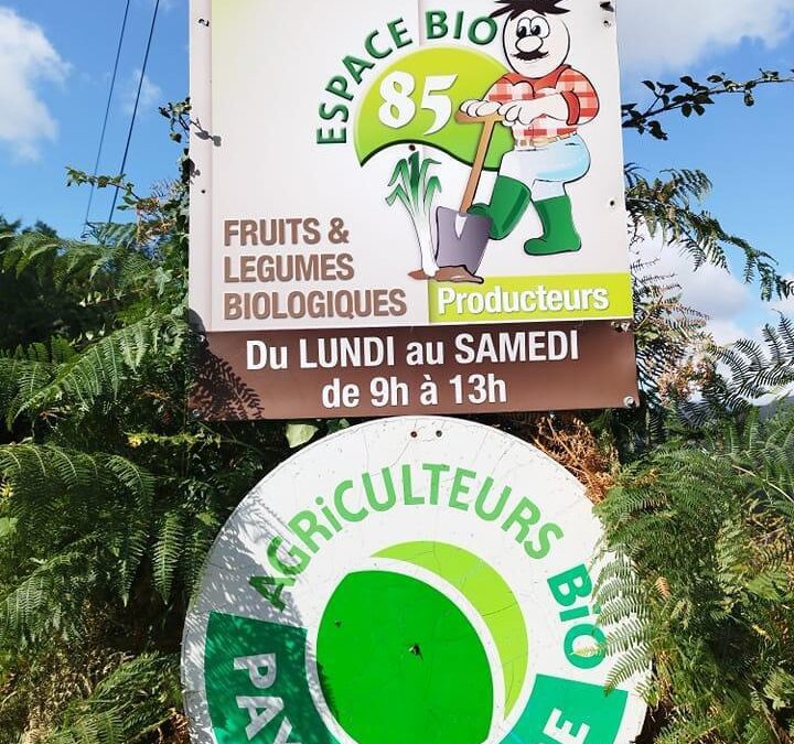 Challans, panier légume, cueillette espace bio, vendredi soir.