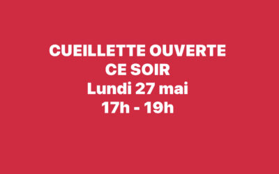 Chauché, fruits, À la Cueillette , ce soir