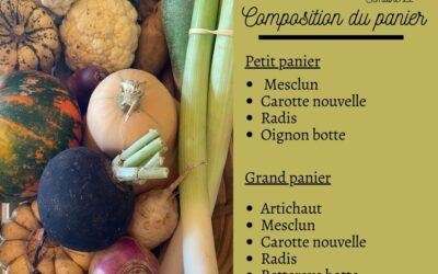 Pouzauges, panier légumes, jardin des puys, vendredi 31 mai