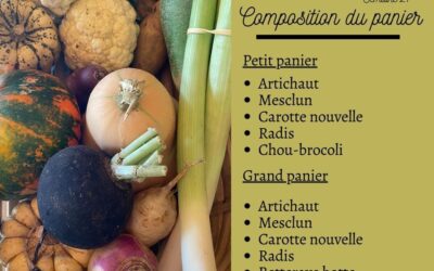 Pouzauges, panier légumes, jardin des Puys. 24 Mai