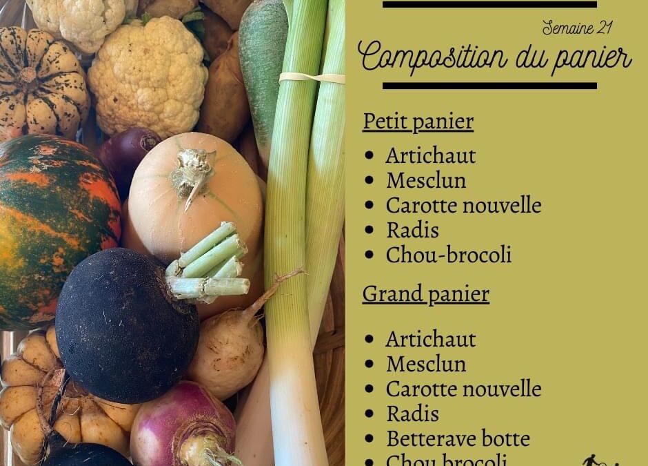 Pouzauges, panier légumes, jardin des Puys. 24 Mai