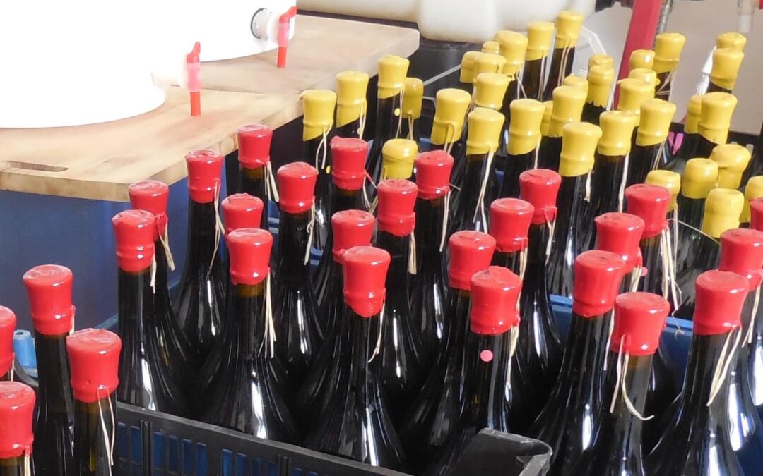 Ile d’Olonne, Apéritif savoureux, domaine Dévalez