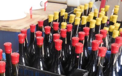 Ile d’Olonne, Apéritif savoureux, domaine Dévalez