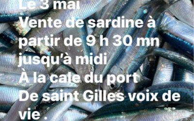 Saint Gille croix de Vie, Sardine, P’tit Lou, ce midi