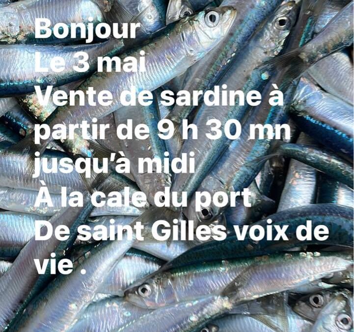Saint Gille croix de Vie, Sardine, P’tit Lou, ce midi