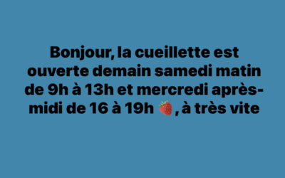 Challans, fraises, cueillette espace bio, samedi 1er juin