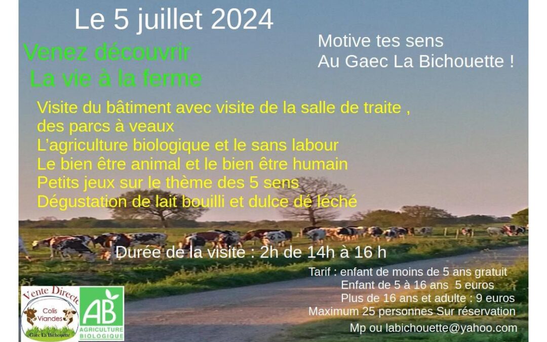 Talmont saint Hilaire, Visite , la Bichouette, 5 juillet