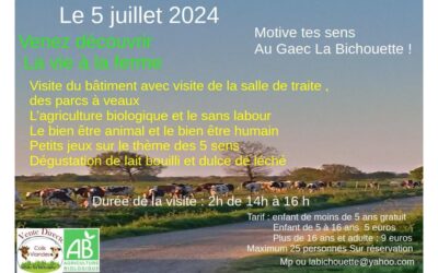 Talmont saint Hilaire, Visite , la Bichouette, 5 juillet