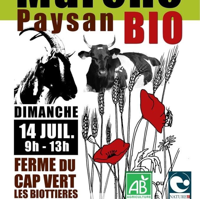 Saint Mathurin, Marché, 14 juillet