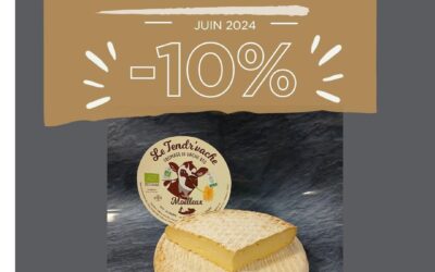 Maillezais, fromage, crémerie de la Venise verte.