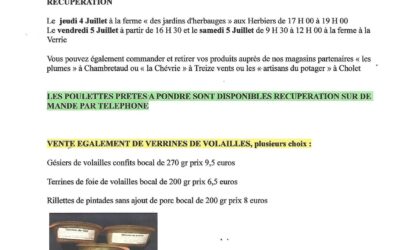 La Verrie, volaille, la chapotiere