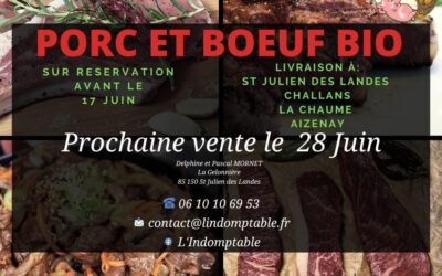 Cochon, l’indomptable