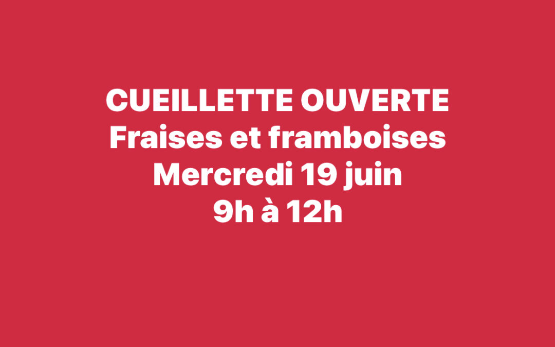 Chauché, A la cueillette