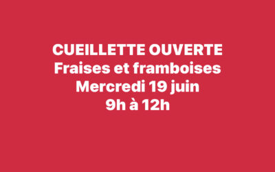 Chauché, A la cueillette