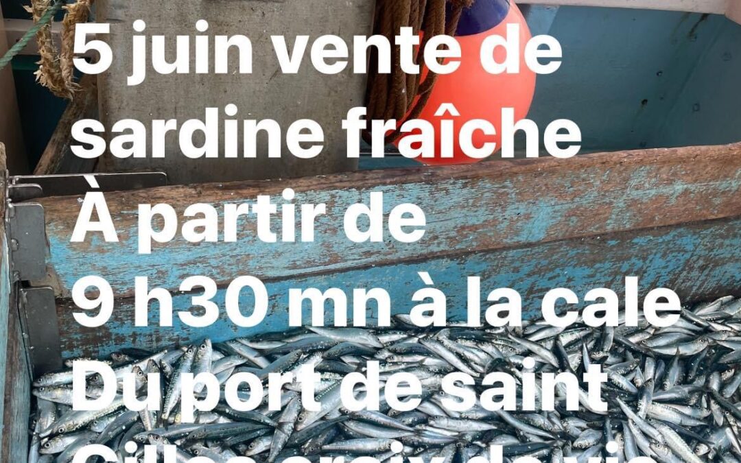 Saint-Gilles-Croix-de-Vie, sardine, P’tit Lou, ce matin !