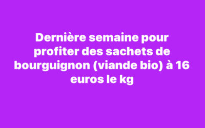 Saint-Hilaire de Talmont,  bourguignon, la bichouette