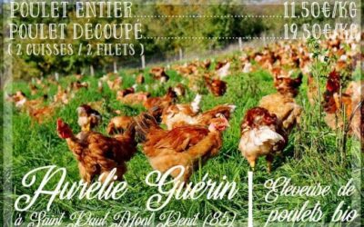Saint Paul Mt Penit, charcuterie et poulet, la fée cochette, Vendredi 13 Décembre