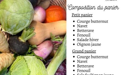 Pouzauges, légumes, jardin des puys, Vendredi 10